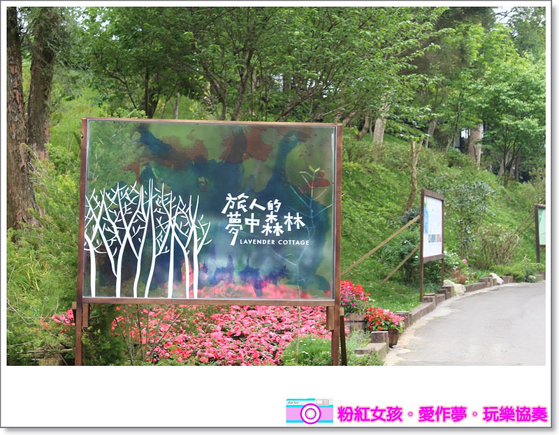 Pink Girl70 2015 04 02