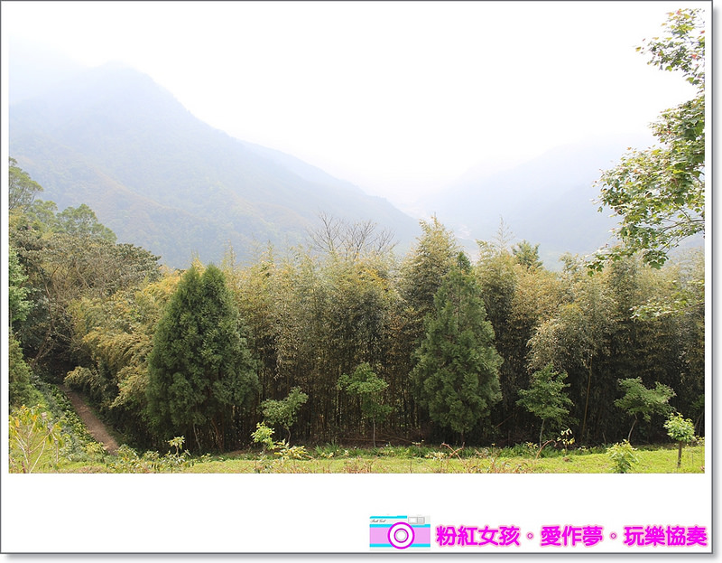 Pink Girl38 2015 04 02