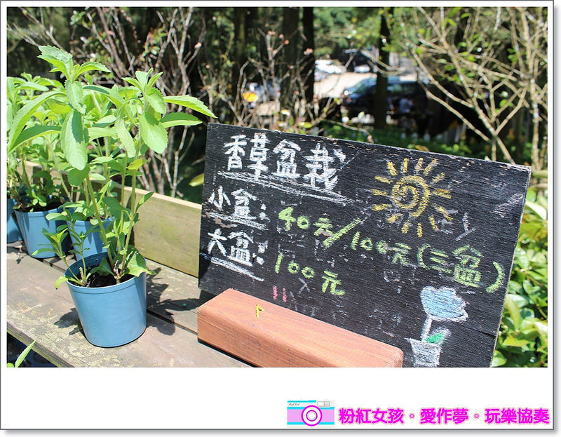 Pink Girl19 2015 04 02