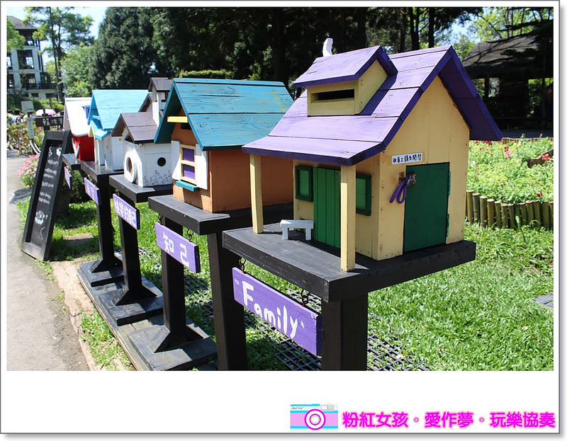 Pink Girl17 2015 04 02