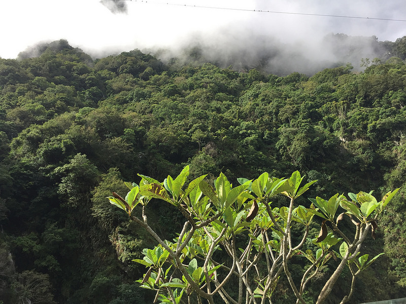 20160915_花蓮太魯閣3日 (406)