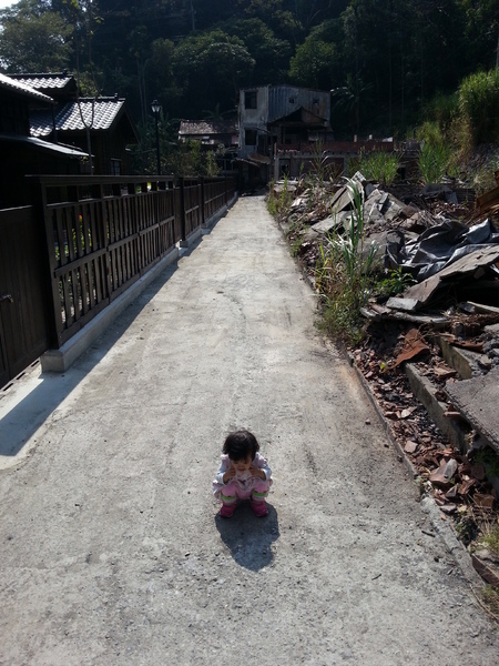 林班道：[南投][景點]水里車埕林班道~風光明媚好時光