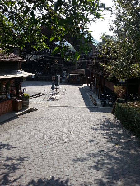 林班道：[南投][景點]水里車埕林班道~風光明媚好時光