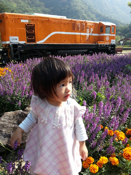 林班道：[南投][景點]水里車埕林班道~風光明媚好時光