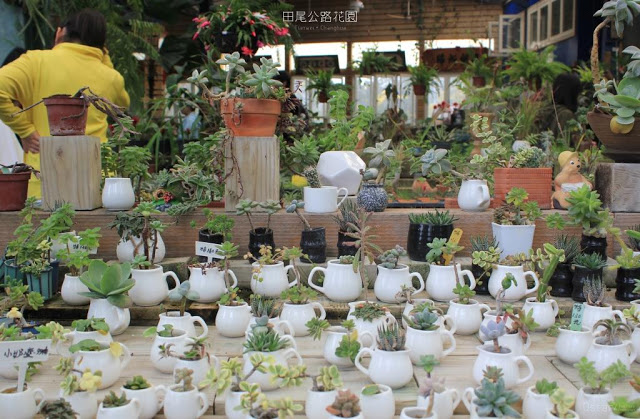 田尾公路花園-18