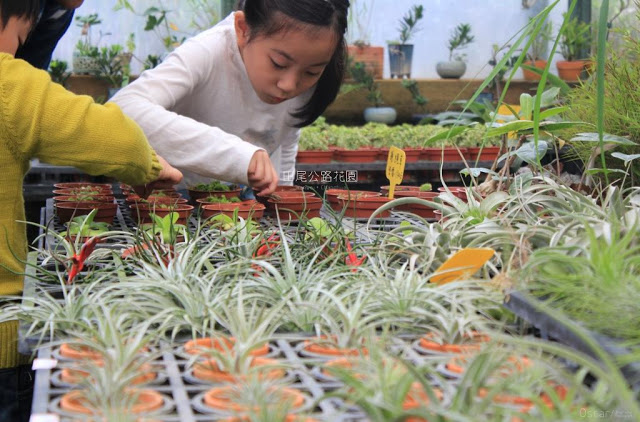 田尾公路花園-22