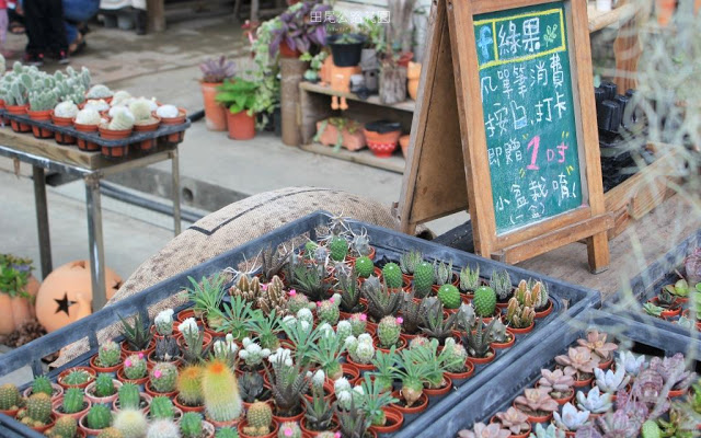 田尾公路花園-25