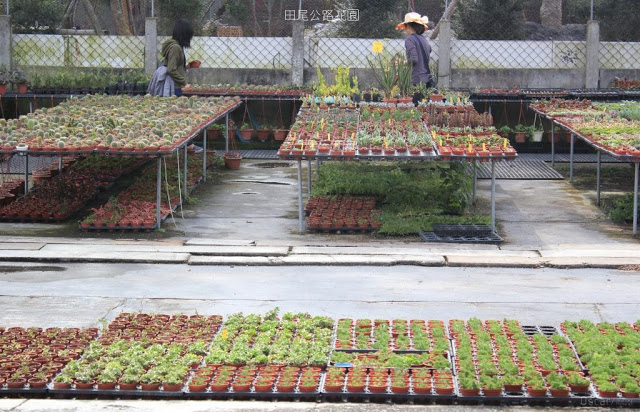 田尾公路花園-4