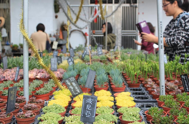 田尾公路花園-26