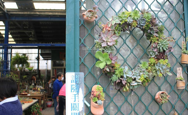 田尾公路花園-38