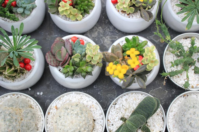 田尾公路花園-34