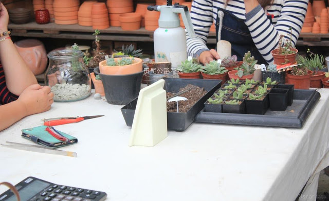 田尾公路花園-40