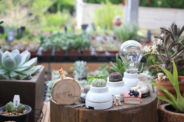 田尾公路花園-29