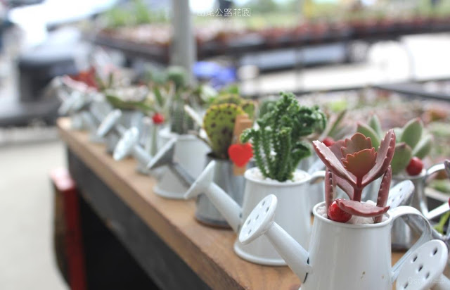 田尾公路花園-35