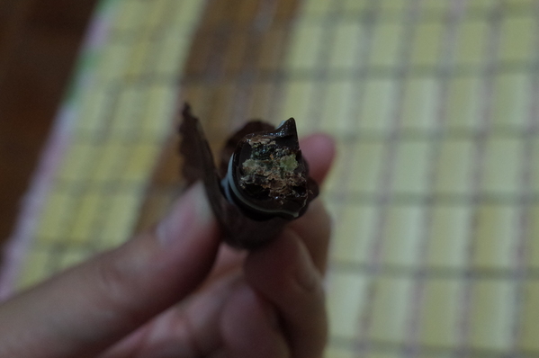 18度C低恆溫巧克力工房：【南投。埔里】18度C巧克力工房