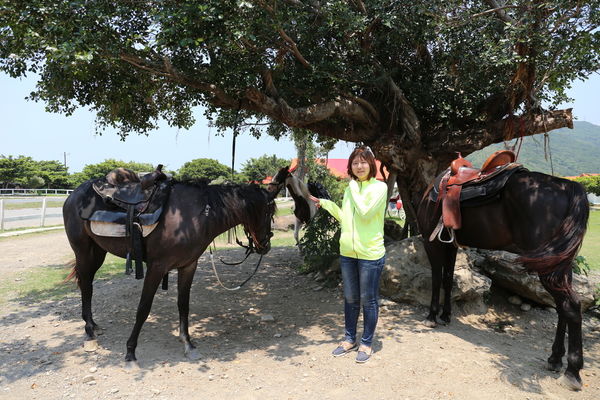 悠客馬場悠客馬術渡假村屏東車城籠埔騎馬住宿度假野外騎馬0512