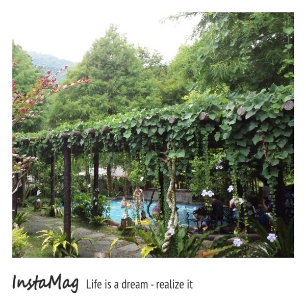 鄧伯花廊咖啡：【宜蘭景點】婚紗秘境~鄧伯花廊咖啡