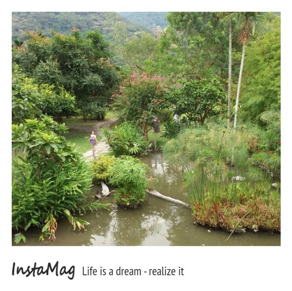 鄧伯花廊咖啡：【宜蘭景點】婚紗秘境~鄧伯花廊咖啡