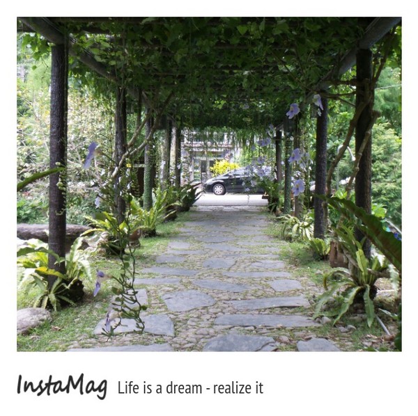 鄧伯花廊咖啡：【宜蘭景點】婚紗秘境~鄧伯花廊咖啡