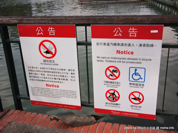 青井澤休閒旅店:【景點】【食記】南投魚池-青井澤休閒旅店&民宿 : 物超所值的自行車逍遙遊雙人行兩天一夜套裝行程!