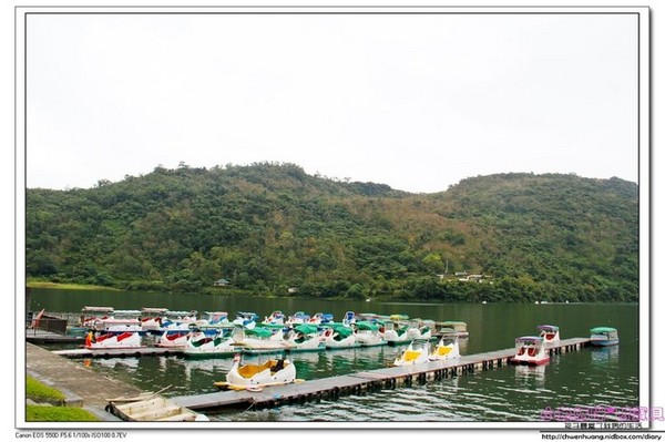 花蓮鯉魚潭：【花蓮景點】☼鯉魚潭風景區☼腳踏船悠閒遊湖/紅面番鴨超可愛♥♥