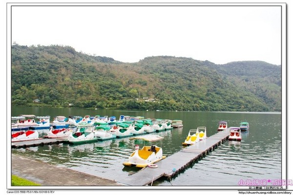 花蓮鯉魚潭：【花蓮景點】☼鯉魚潭風景區☼腳踏船悠閒遊湖/紅面番鴨超可愛♥♥