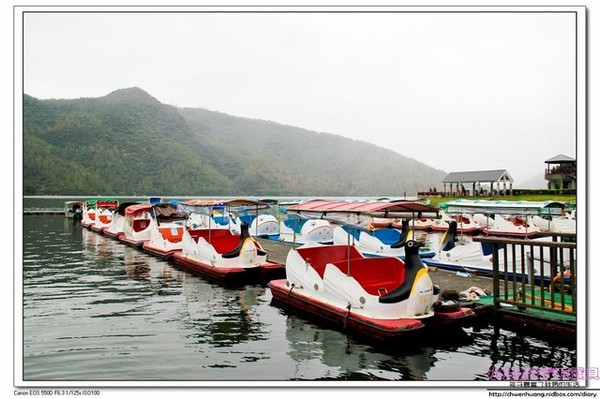 花蓮鯉魚潭：【花蓮景點】☼鯉魚潭風景區☼腳踏船悠閒遊湖/紅面番鴨超可愛♥♥