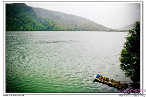 花蓮鯉魚潭：【花蓮景點】☼鯉魚潭風景區☼腳踏船悠閒遊湖/紅面番鴨超可愛♥♥