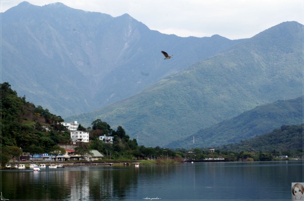 鯉魚潭：[花蓮爆點一日遊]花蓮 鯉魚潭~山湖環繞的閒適風光