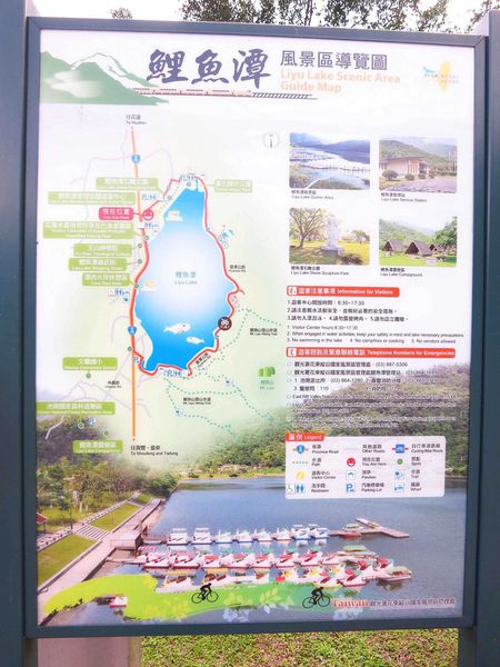 【花蓮景點】鯉魚潭-山林中美麗的湖泊