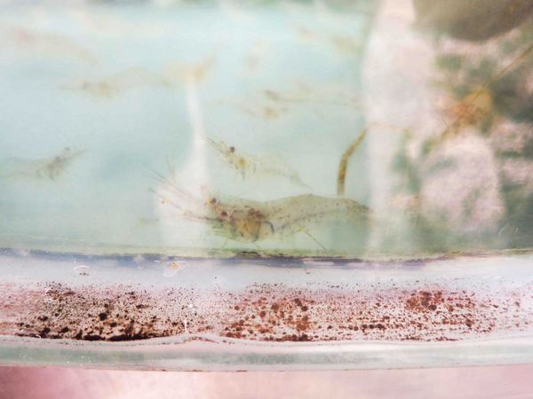 【花蓮景點】鯉魚潭-山林中美麗的湖泊