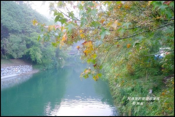 杉林溪81.JPG