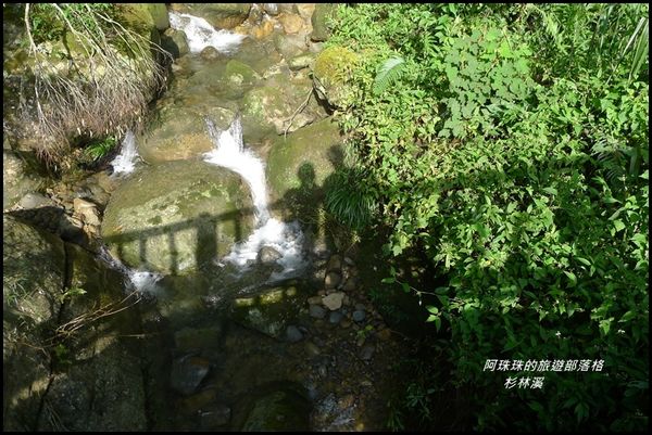杉林溪62.JPG