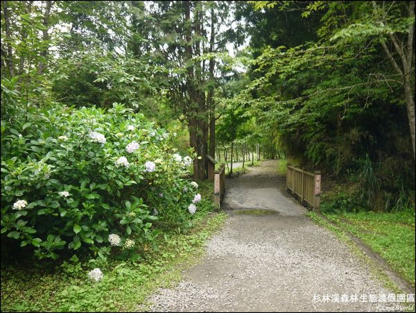杉林溪森林生態渡假園區P1540493_調整大小1.JPG