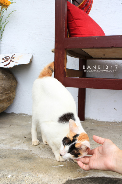 項鍊咖啡工作室：花蓮 項鍊咖啡工作室:太平洋餐桌午餐