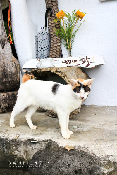 項鍊咖啡工作室：花蓮 項鍊咖啡工作室:太平洋餐桌午餐