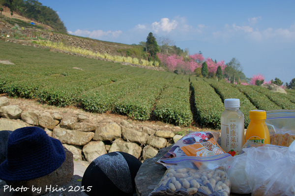 隙頂二延平步道