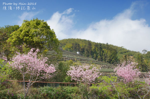 隙頂二延平步道