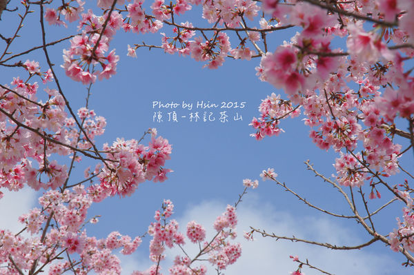 隙頂二延平步道