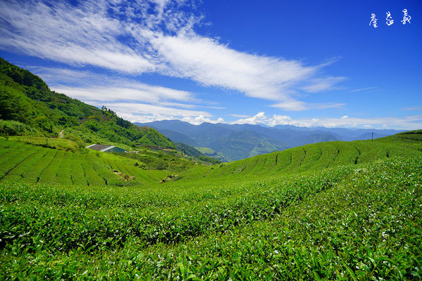 隙頂二延平步道
