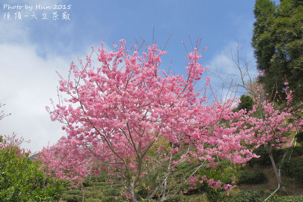 隙頂二延平步道