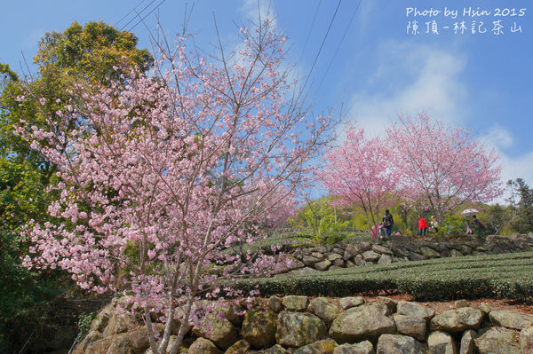 隙頂二延平步道