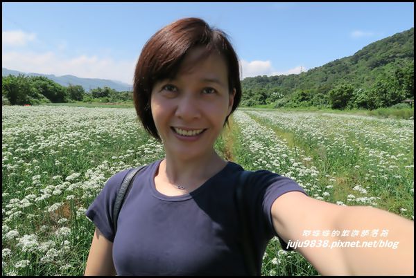 大溪韭菜花海20.JPG
