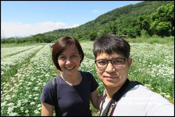 大溪韭菜花海21.JPG