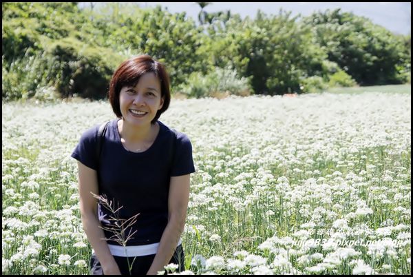 大溪韭菜花海8.JPG
