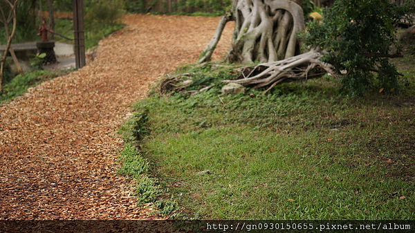 羅東林業文化園區:羅東林業文化園區