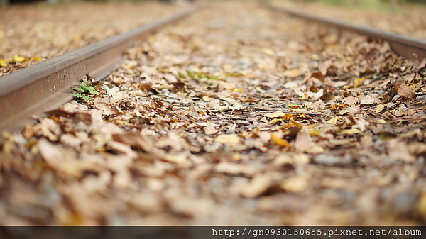 羅東林業文化園區:羅東林業文化園區