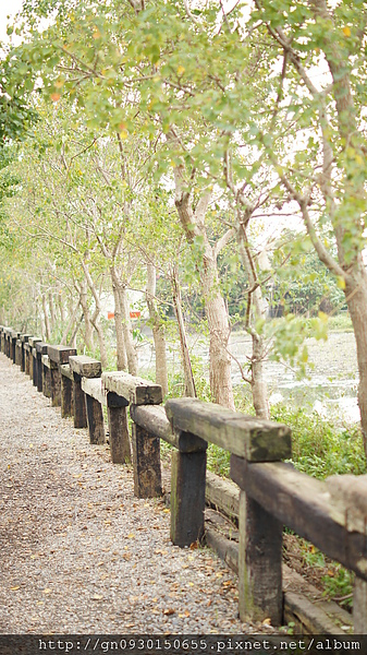 羅東林業文化園區:羅東林業文化園區