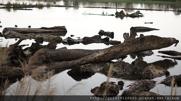 羅東林業文化園區:羅東林業文化園區