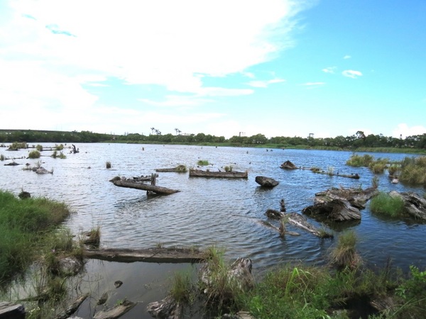 羅東林業文化園區:品嚐完林場肉焿來去充滿芬多精的森林鐵道散步嘍【宜蘭/羅東林業文化園區】